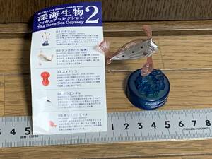 L◎【売切セール】テンガイハタ（幼魚）　深海生物フィギュアコレクション2　KAIYODO　海洋堂　MIU