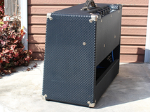 Ampeg SJ-12R SUPERJET_画像8