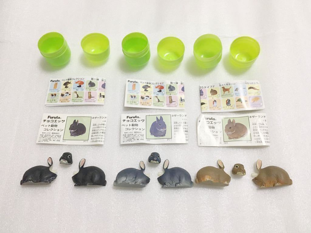 チョコエッグ非売品 分布地図 日本の動物第1弾 24種アソート 海洋堂