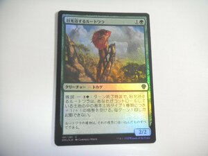 B39【MTG マジック・ザ・ギャザリング】日光浴するルートワラ Foil 団結のドミナリア 即決