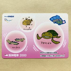 【使用済】 スルッとKANSAI 阪神電鉄 阪神電車 水族園のゆかいな仲間 アオウミガメ ムツゴロウ マツカサウオ