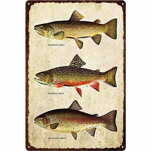 A3447 metal autograph made of metal tin plate signboard poster fish sea fishing fishing gear shop fishing fish . bus map . illustration [01]