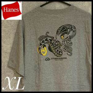 Hanes プリントtシャツ USA製 ビンテージ extended horizon