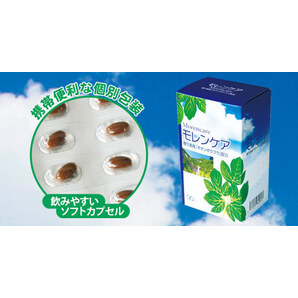 大阿蘇の森卓球専用 ボタンボウフウ・かぼちゃ種子エキス「モレンケア」 小林薬品販売(株)~大阿蘇の森~