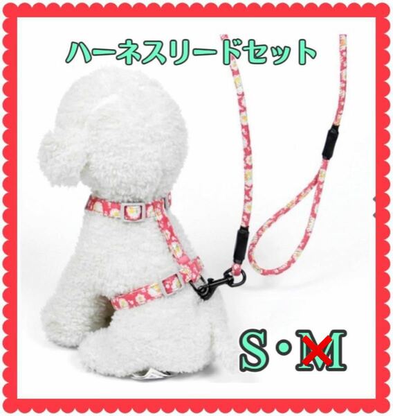 可愛いさくらんぼ柄ハーネスリードセット　レッドSサイズ　犬用品ペット用品