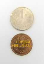 W■C 世界のコイン ＜中国＞【牡丹１元硬貨】1993年発行 外国硬貨 コレクション 良品_画像4