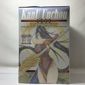 未開封品 一騎当千 Dragon Destiny 関羽雲長 チャイナドレスVer TFC キャストオフ コンパチ式フィックス フィギュア タキ コーポレーションの画像2