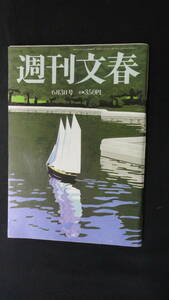 週刊文春 平成22年6月3日号 観月ありさ バンコク内線 口蹄疫 岡田ジャパン MS221028-030