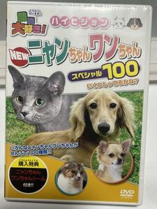 ☆即決☆ ニャンちゃん ワンちゃん スペシャル100 動物大好き 犬 猫 ペット DVD