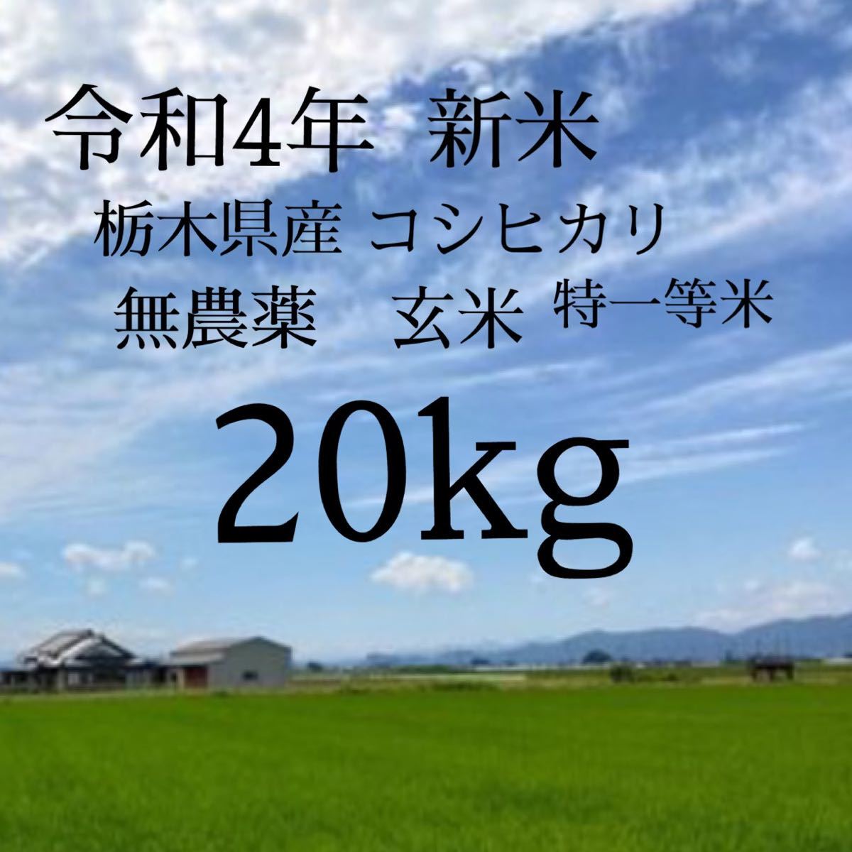 新しいブランド 令和4年産棚田で育った特Aさがびより20キロ新米