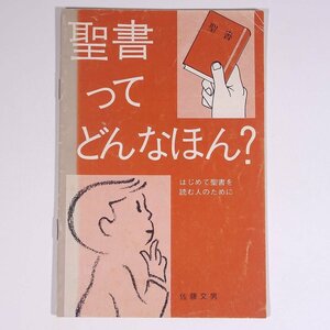 聖書ってどんなほん？ はじめて聖書を読む人のために 1973 小冊子 キリスト教 聖書研究