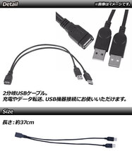 AP USBケーブル ブラック USB2.0(メス)-2股USB2.0(オス) Y字 AP-UJ0521_画像2