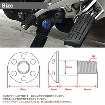 サイドスタンド ピボットボルト M10 P1.25 ヤマハ車用 ステンレス製 テーパーホールヘッド 焼きチタンカラー 1個 TH0451_画像2