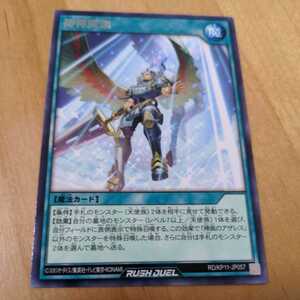 遊戯王ラッシュデュエル 字レア 掃神降臨