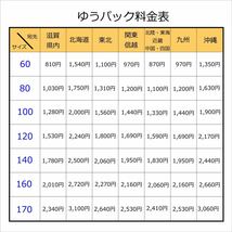 郷土玩具 陶人形 人形 昭和レトロ 童 日本人形 小春日 置物 オブジェ_画像10