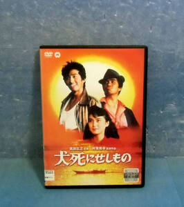 ヤフオク 安田成美 ドラマの中古品 新品 未使用品一覧 ヤフオク 安田成美 ドラマの中古品 新品 未使用品一覧