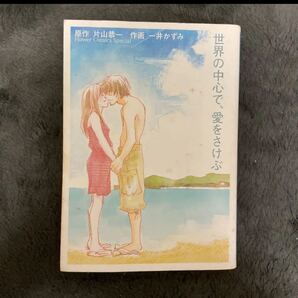 世界の中心で、愛をさけぶ