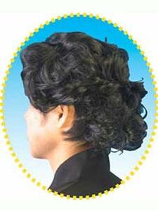  dragon horse manner wig all back black historical play party goods 