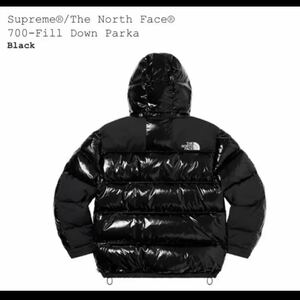 L Supreme North Face 700-Fill Down Parka