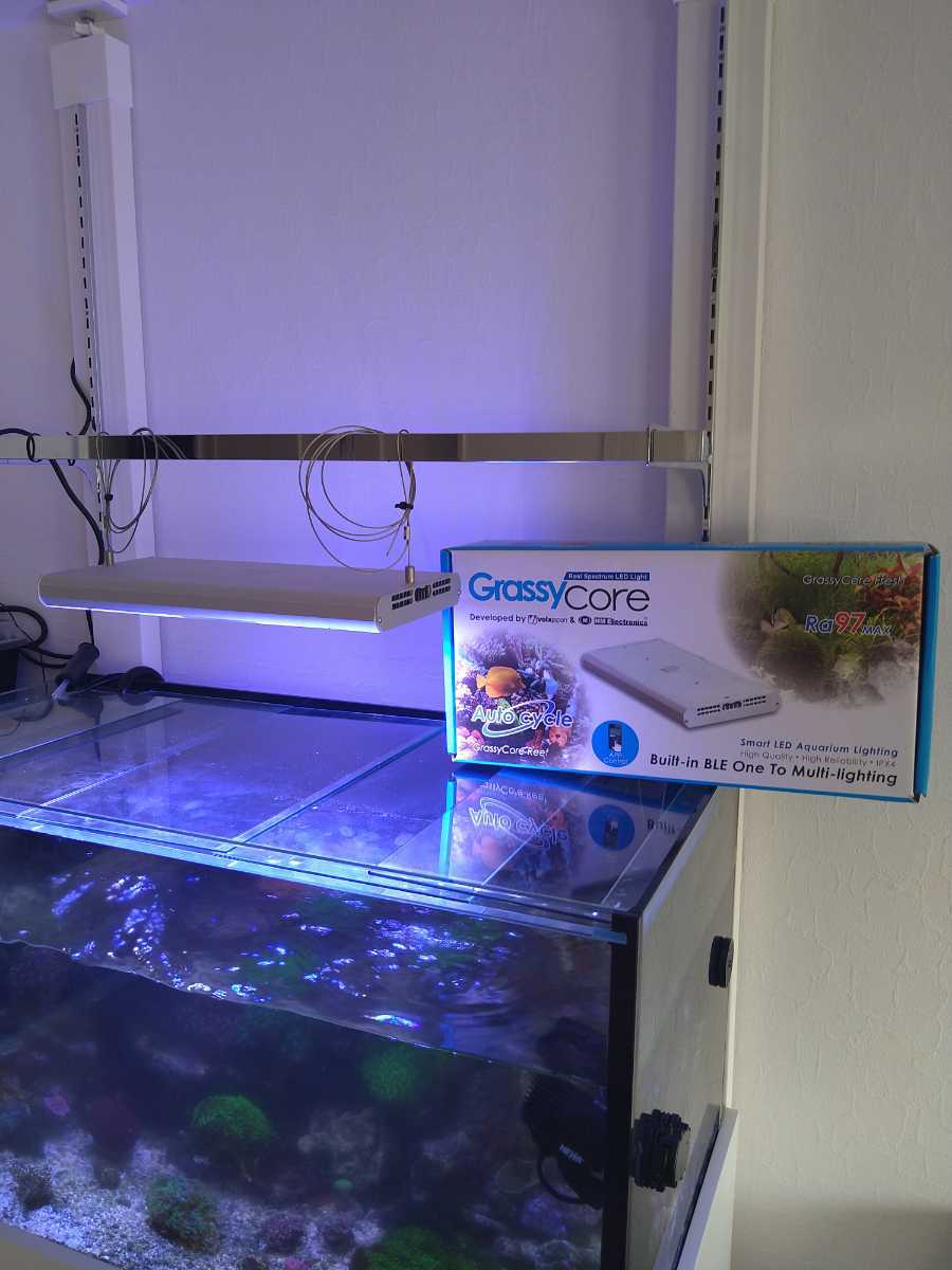 銀座での販売 Grassy Core （グラッシーコアリーフ） Reef 魚用品/水草