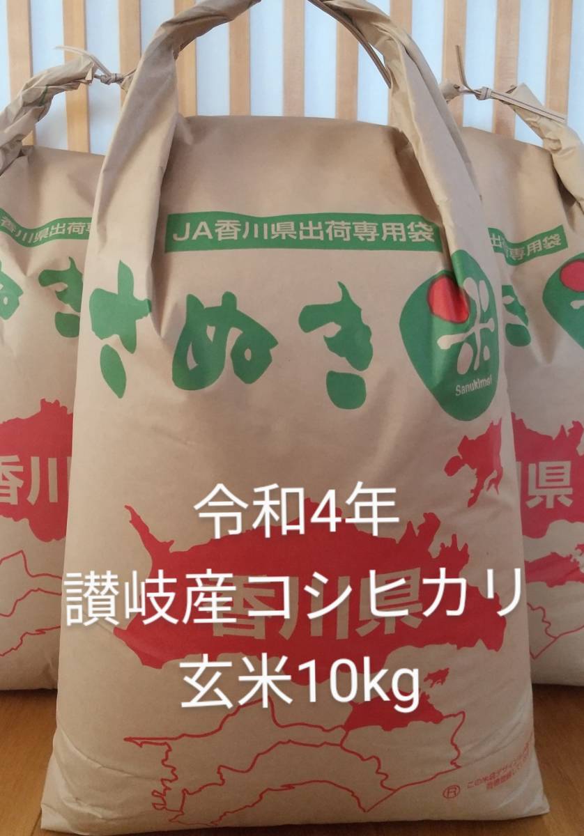 トップ 新米•令和4年産新潟コシヒカリ小分け3袋 農家直送 玄米25㌔か白米22.5㌔ 3broadwaybistro.com
