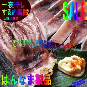  mountain ... production [ Pacific flying squid salted and dried overnight 3 sheets .600g rank ] present . proud - is ... product -