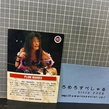 同梱OK◇1995年BBM♯163プラム麻里子/Plum Mariko/JWP女子プロレス【プロレスカード】ジャパン女子プロレス_画像2