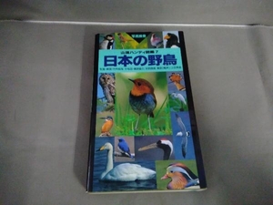 日本の野鳥　叶内拓哉　山と渓谷社