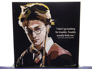 Art hand Auction [Nouveau n°446] Panneau pop art Film Harry Potter, Ouvrages d'art, Peinture, Portraits