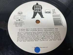 NO 10-21-45 ◆ 12インチ ◆ Big Punisher ◆ Still Not A Player