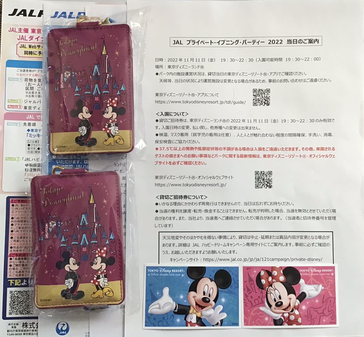 11月11日 プライベート イブニングパーティー 22 パスケース パスポート付き ディズニー ｔｄｌ Dev Alghost Com