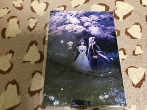 B072クリアファイル　FGO Fate/stay night 劇場版　Heaven's Feel　前売り特典　桜　セイバー　ライダー