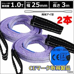 ベルトスリング 幅25mm×3m [2本] ストレート吊 耐荷重1.0t CE規格品 両端アイ型 スリングベルト/10