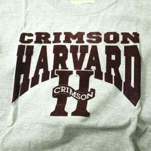 GOOD ROCK SPEED グッドロックスピード COLLEGE TEE HARVARD ハーバード大学 カレッジTシャツ S グレー 半袖 フロッキープリント g7540の画像5