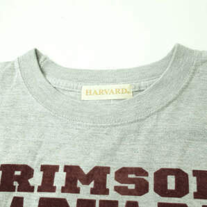 GOOD ROCK SPEED グッドロックスピード COLLEGE TEE HARVARD ハーバード大学 カレッジTシャツ S グレー 半袖 フロッキープリント g7540の画像4