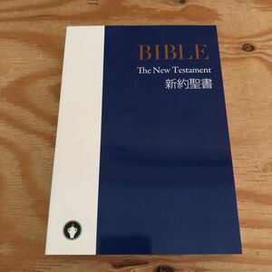 K2DD3-221021 レア［新約聖書 BIBLE］孤独な時 意気消沈した時