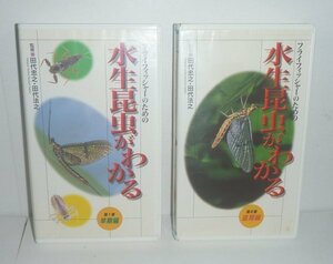  aquatic insect 1995[ fly Fischer therefore. aquatic insect . understand no. 1 volume early stage compilation * no. 2 volume . period compilation |VHS video ] rice field fee ..* rice field fee law ...