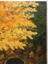 真作 SABUR KUROKAWA 油彩「晩秋の山道」画寸 60.5cm×72.5cm F20 黄金色に色付く大樹と鄙びたトンネルを細密描写で丁寧に描く秋景 5287_画像6