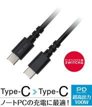 USBケーブル 充電/データ転送 TypeC-C 100W(20V/5A) グリーンハウス 0.5m/0.5メートル GH-UCCCA05-BK/0816_画像2