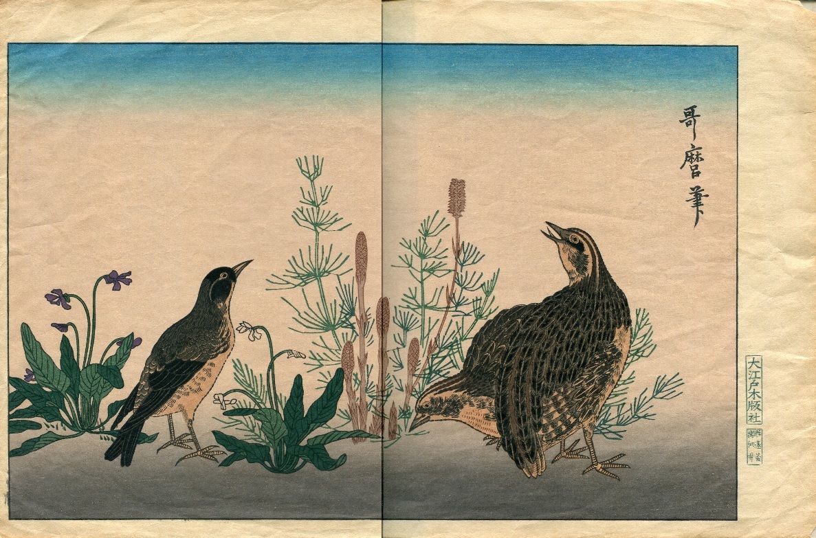 2025年最新】Yahoo!オークション -花鳥風月(木版画)の中古品 2025年最新】Yahoo!オークション -花鳥風月(木版画)の中古品