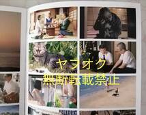 即決【映画パンフレット】ネコ映画パンフレット『ねことじいちゃん』世界ネコ歩き…の岩合光昭が監督 立川志の輔 柴咲コウ 田中裕子 小林薫_画像5