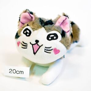 ぬいぐるみ チーズスイートホーム 子猫のチー 喜 猫 ネコ 20cm 輝
