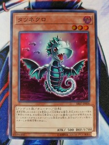 ◇B3769◇遊戯王OCG・タツネクロ スーパー SR07-JP000◇