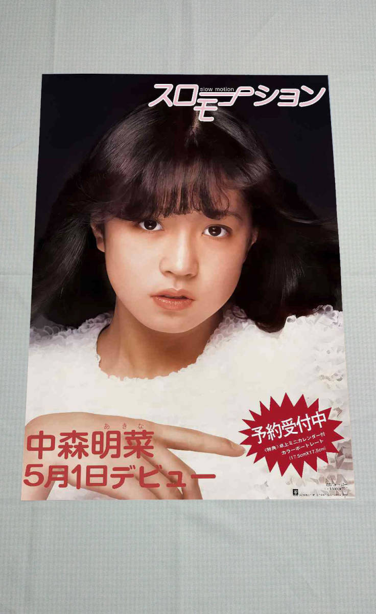 中森明菜 パネル | www.gravesandrichard.com