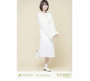 【4-34】乃木坂46 公式グッズ 生写真 1枚　生田絵梨花　ヒキ　2017 福袋 Lucky Bag