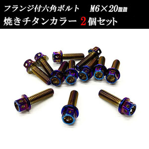 フランジ付六角ボルト M6×20mm P1.0 フラワーヘッド ステンレス 2個set 車 汎用 外装 カー用品 焼きチタン