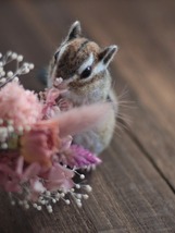 risumochi シマリス 羊毛フェルト ハンドメイド ミニチュア 動物 栗鼠 アニマル ディスプレイ インテリア オブジェ B_画像3