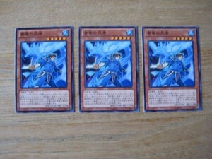 遊戯王●セ 青竜の忍者 ３枚