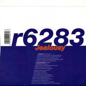 Pet Shop Boys 「Jealousy/ Losing My Mind」英国盤EPレコードの画像4