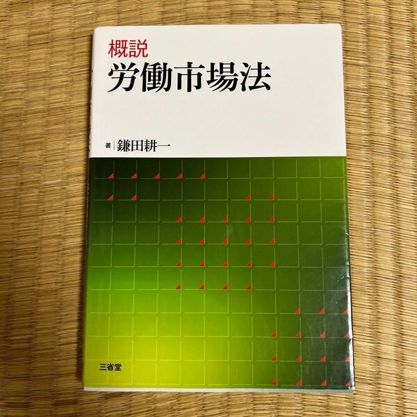 概説労働市場法 鎌田耕一／著